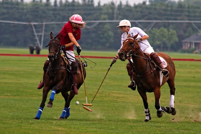 Houston outdoor activities: shallow focus photography of two-man competing at the polo pony.